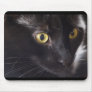 Cat and Mouse Mouse Mat