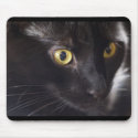 Cat and Mouse mousepads