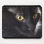 Cat and Mouse mousepads