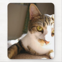 Cat and Mouse Pad
