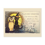 Cat and Owl in Vintage Halloween Postcard
