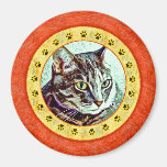 Cat and Paw Prints Magnet