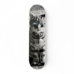 Cat Animal Pet skateboards