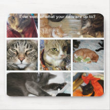 Cat Antics Mousepad