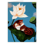 cat art- Afternoon Cat cards