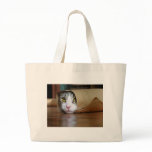 Cat bags