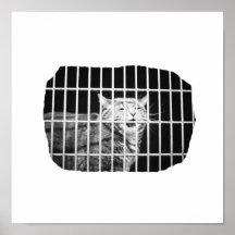 Cat behind bars with mouth open mean kitty poster