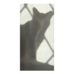 Cat behind curtain photo cards