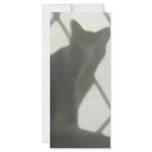 Cat Behind Curtain Rack Card rack cards