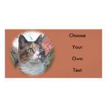 Cat Big Eyes Photo Card Template