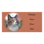 Cat Big Eyes photo cards