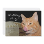 Cat Birthday Party invitations