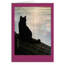 Cat Black Silhouette Cards