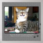Cat Blames Dog posters