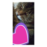 Cat Bookmark photo cards
