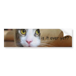 Cat bumper stickers