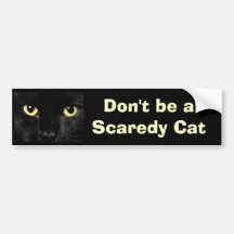Cat Bumper Sticker