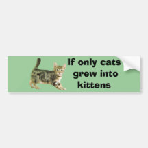 Cat Bumper Sticker