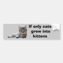 Cat Bumper Sticker