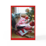 Cat busted opening Christmas present early cards