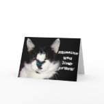 CAT & BUTTERFLY Missing You Card