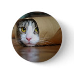 Cat buttons