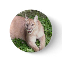 Cat Button
