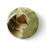 Cat Button