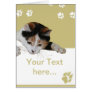 Cat Card