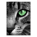 Cat Greeting Card