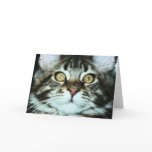 CAT GREETING CARDS