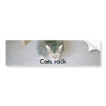 Cat, Cats rock Bumper Stickers
