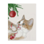 Cat Christmas fun postcards