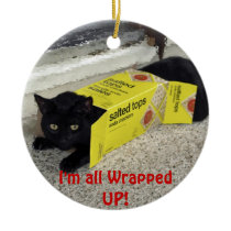 Cat Christmas Ornament