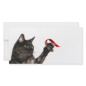 Cat Christmas ribbon photo cards