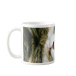 Cat Closeup mugs