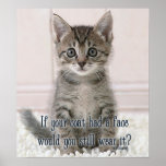 cat coat print