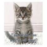cat coat t-shirts