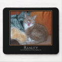 Cat Demotivator mousepads