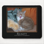 Cat Demotivator mousepads