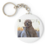 Cat Dog Love Keychains