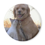 Cat Dog Love Fridge Magnet