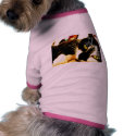 Cat pet clothing