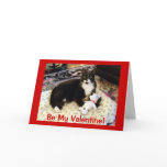 Cat & Dog Valentine Cards