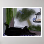 Cat Dreaming posters