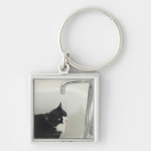 Cat Drinking Water Dripping From A Tap Key Chains