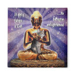 Cat Enlightenment magnets