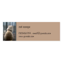 Cat Escape small Business Card