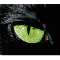 Cat eye photo cut outs