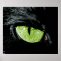 Cat eye posters